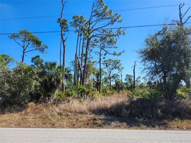Port Charlotte Waterway Area Lot For Sale in Port Charlotte Florida