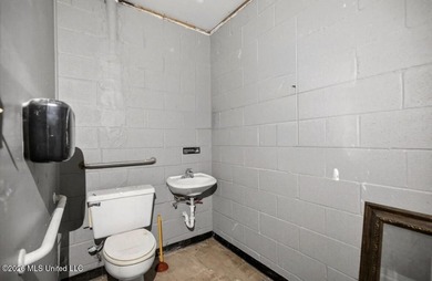 Commercial Opportunity in the Heart of Gulfport: This investment - photo 12