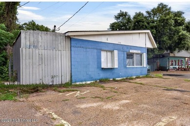 Commercial Opportunity in the Heart of Gulfport: This investment - photo 17