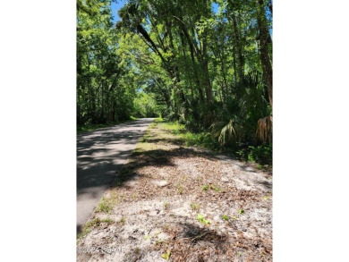 Lake Lot For Sale in Astor, Florida