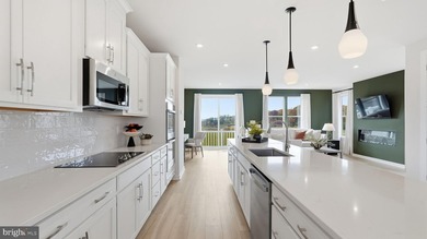 Your New Home Starts Here. The Lachlan at Potomac Shores offers - photo 6