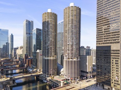 Lake Michigan - Cook County Condo For Sale in Chicago Illinois