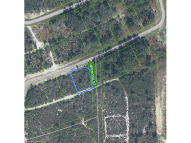 Build your Florida dream home on this spacious vacant - photo 2