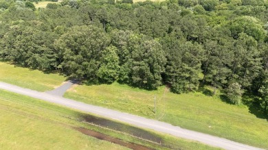 Lake Acreage For Sale in Pangburn, Arkansas