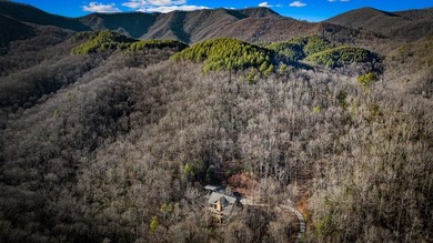 Mountain Top Sanctuary minutes from the Franklin, NC airport - photo 10