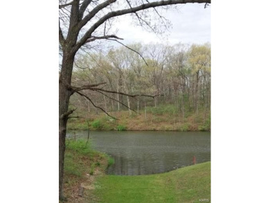 Lake Lot Sale Pending in Mount Olive, Illinois