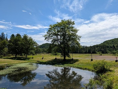 (private lake, pond, creek) Lot For Sale in Coudersport Pennsylvania