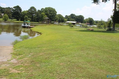 This is your chance for paradise on the lake, this home has it - photo 10