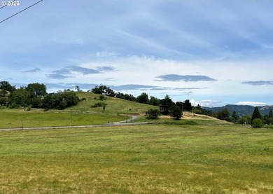 Discover a remarkable development opportunity spanning - photo 12