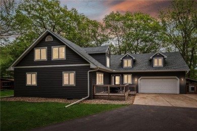 Lake Home For Sale in Dassel Twp, Minnesota