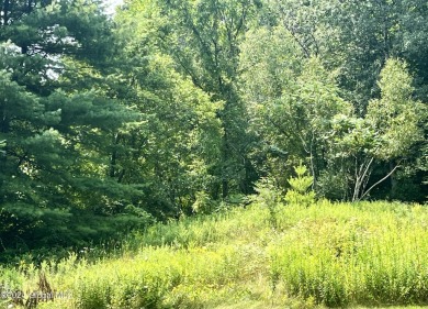 (private lake, pond, creek) Lot Sale Pending in Greenwich New York