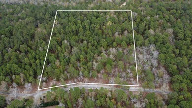 5 wooded acres located in highly sought after Edisto Lake - photo 1