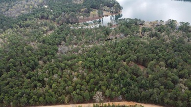 5 wooded acres located in highly sought after Edisto Lake - photo 2