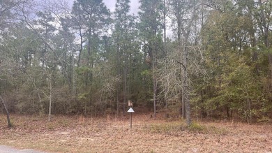 5 wooded acres located in highly sought after Edisto Lake - photo 3