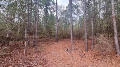 5 wooded acres located in highly sought after Edisto Lake - photo 4