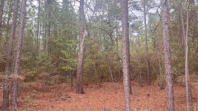 5 wooded acres located in highly sought after Edisto Lake - photo 5