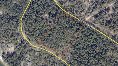 5 wooded acres located in highly sought after Edisto Lake - photo 6