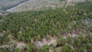 5 wooded acres located in highly sought after Edisto Lake - photo 7