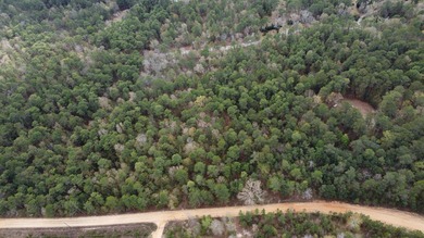 5 wooded acres located in highly sought after Edisto Lake - photo 8