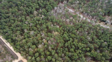 5 wooded acres located in highly sought after Edisto Lake - photo 9