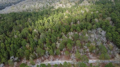 5 wooded acres located in highly sought after Edisto Lake - photo 10