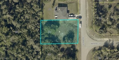 Lehigh Acres Area Lot For Sale in Lehigh Acres Florida