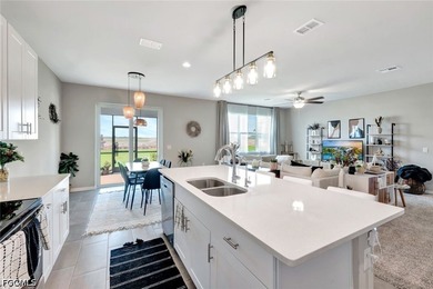 Welcome to Crescent Grove in Babcock Ranch, one of Southwest - photo 13