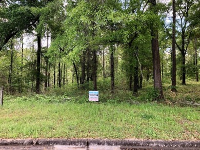 Lake Lot Off Market in Eufaula, Alabama