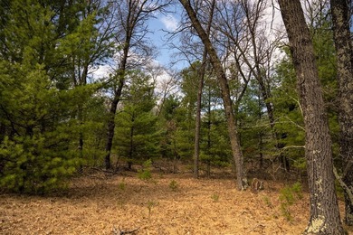 Nicely wooded 1.05 acre parcel with deeded access to Castle Rock - photo 1