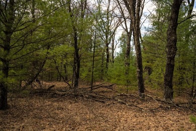 Nicely wooded 1.05 acre parcel with deeded access to Castle Rock - photo 2