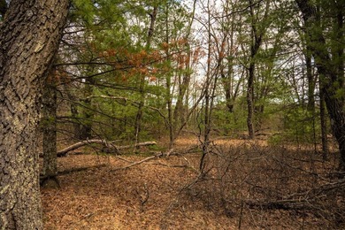 Nicely wooded 1.05 acre parcel with deeded access to Castle Rock - photo 3