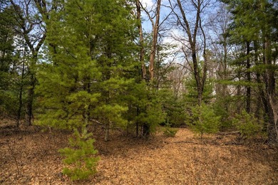 Nicely wooded 1.05 acre parcel with deeded access to Castle Rock - photo 4