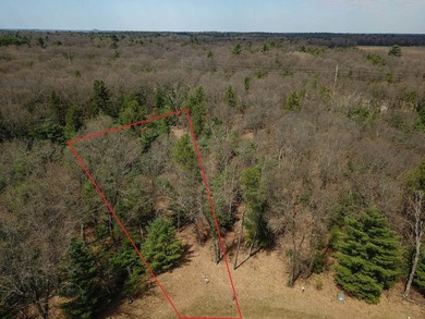 Nicely wooded 1.05 acre parcel with deeded access to Castle Rock - photo 7