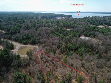 Nicely wooded 1.05 acre parcel with deeded access to Castle Rock - photo 8