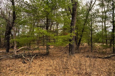 Nicely wooded 1.05 acre parcel with deeded access to Castle Rock - photo 9