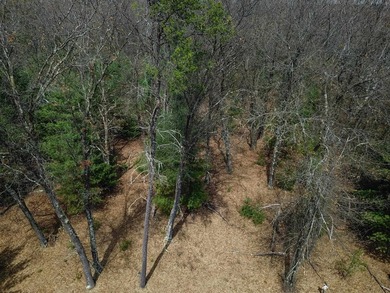 Nicely wooded 1.05 acre parcel with deeded access to Castle Rock - photo 10