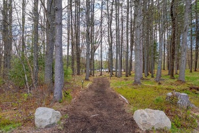 Newly offered -- almost 15 acres on Sebago Lake! Set along 1,415 - photo 41