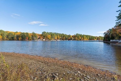 Newly offered -- almost 15 acres on Sebago Lake! Set along 1,415 - photo 46