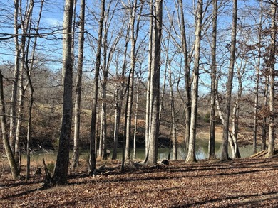 (private lake, pond, creek) Acreage For Sale in Cumberland Furnace Tennessee