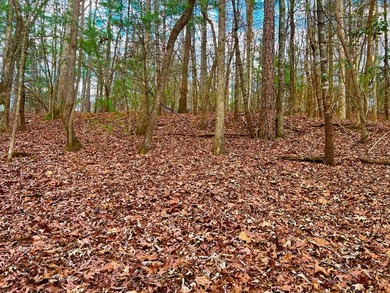 Coosawattee River - Gilmer County Lot For Sale in Ellijay Georgia