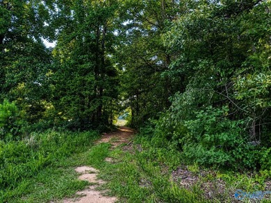 Build your dream home on this 0.72+/- acre waterfront lot in - photo 2