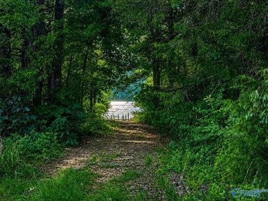 Build your dream home on this 0.72+/- acre waterfront lot in - photo 3