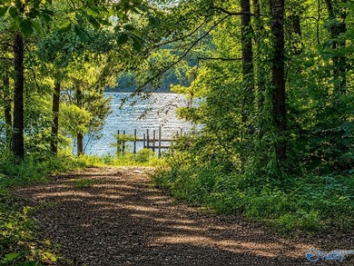 Build your dream home on this 0.72+/- acre waterfront lot in - photo 4