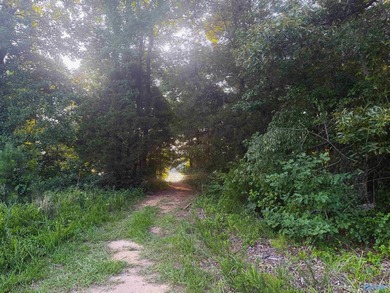 Build your dream home on this 0.72+/- acre waterfront lot in - photo 9