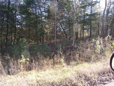 Lake Lot For Sale in Murchison, Texas