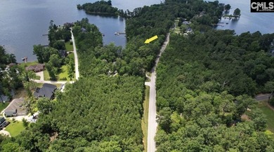 Lake Lot For Sale in Chapin, South Carolina