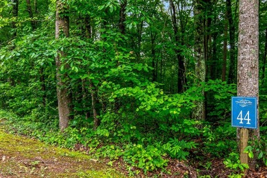 Carters Lake Lot For Sale in Ellijay Georgia