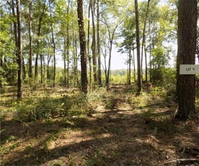 Caney Lake Lot For Sale in Chatham Louisiana
