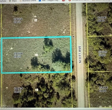 Lehigh Acres Area Lot For Sale in Lehigh Acres Florida
