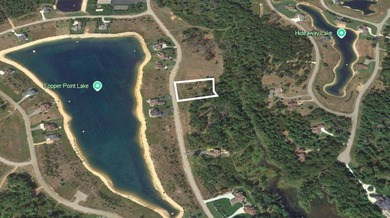 Motivated seller - all offers considered! Rare 0.64-acre - photo 9